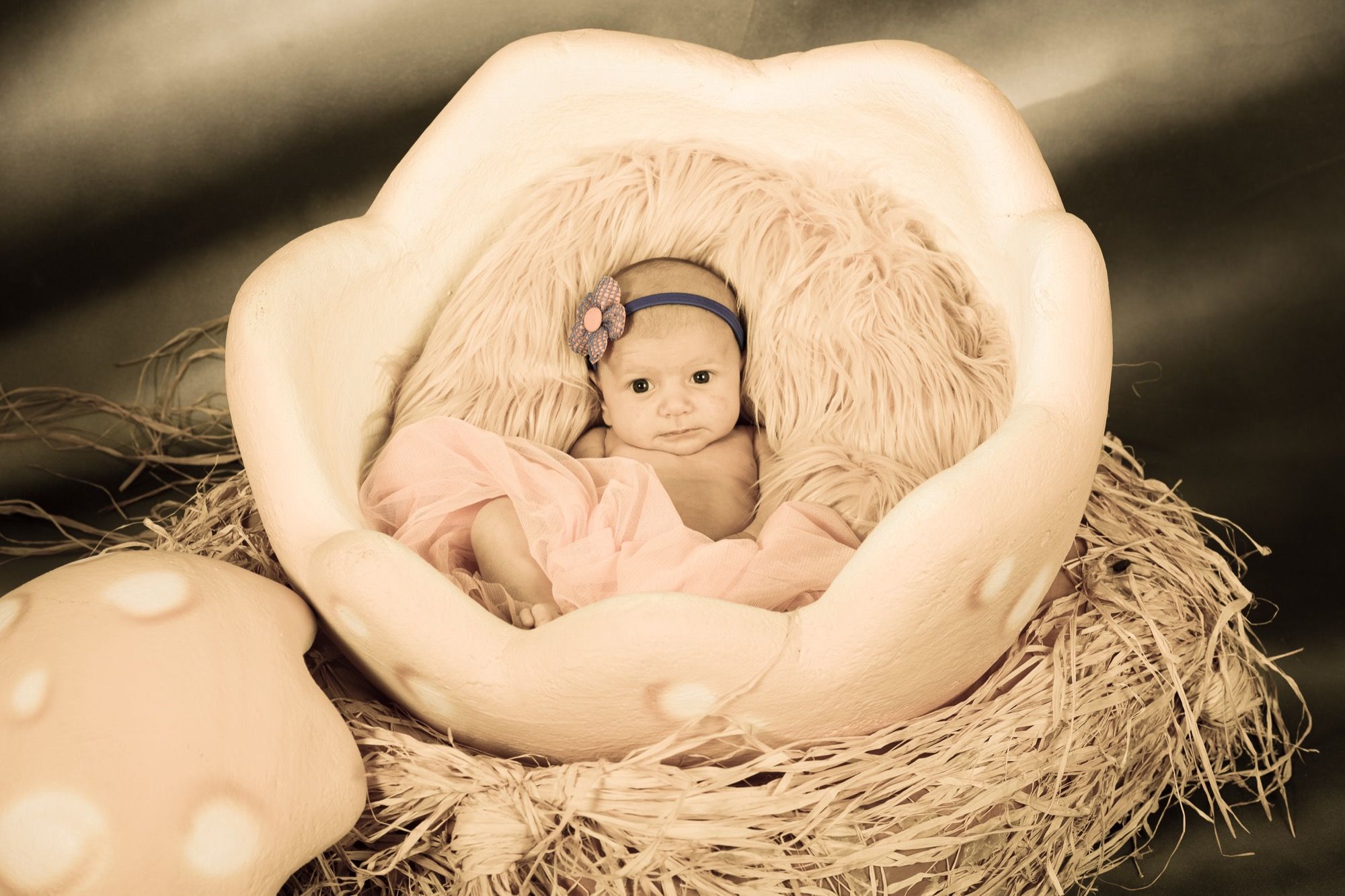 Baby in einer Nestschale aus Holz